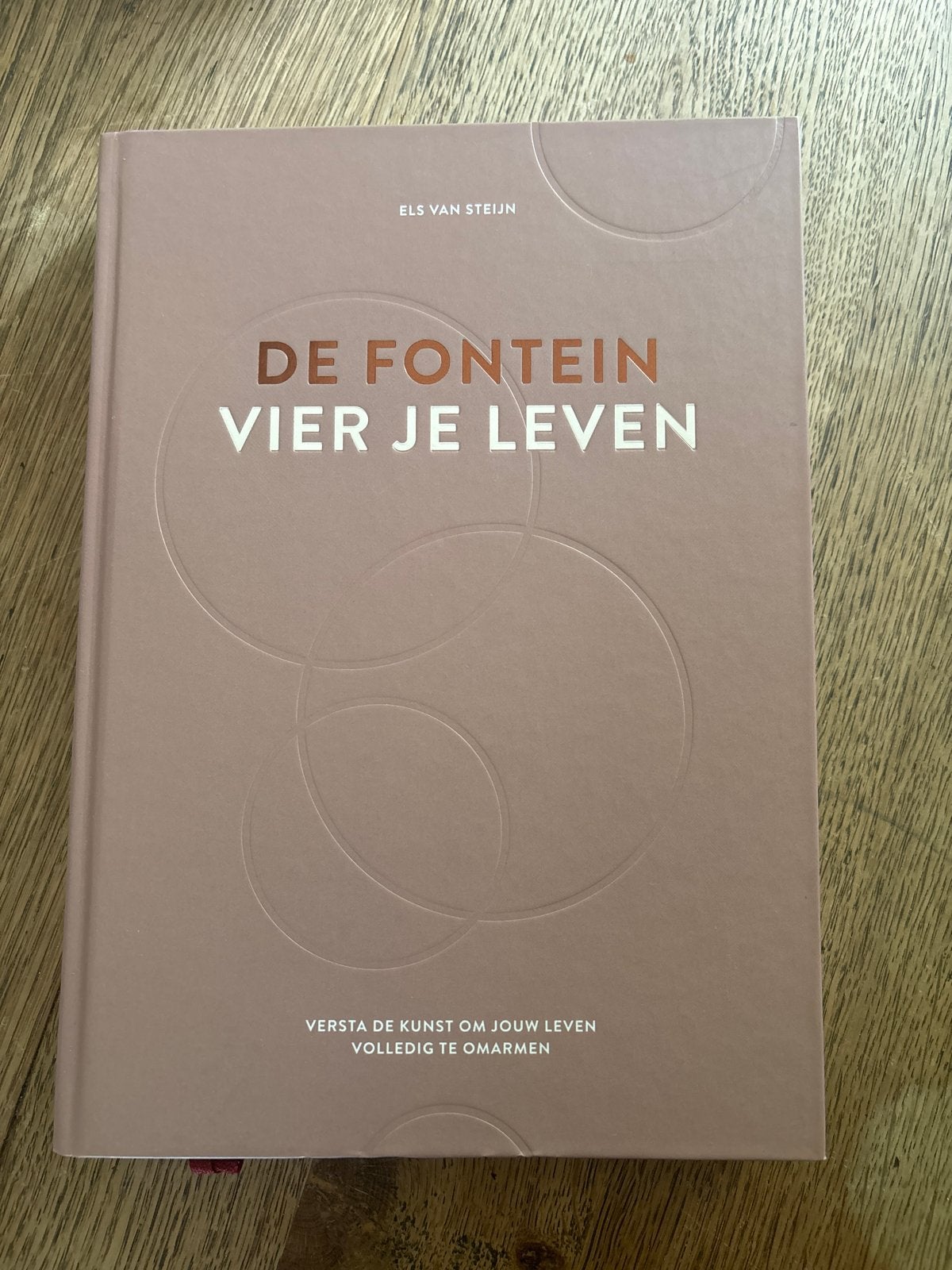 De Fontein Vier Je Leven - Els van Steijn, Boeken, Verzenden, Nieuw