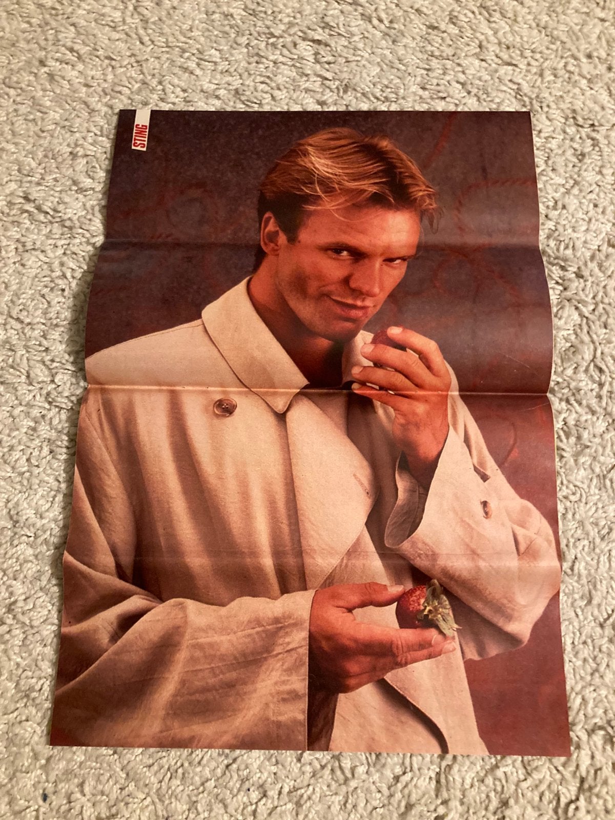Poster A3 formaat STING, Verzamelen, Ophalen of Verzenden, Zo goed als nieuw, A1 t/m A3