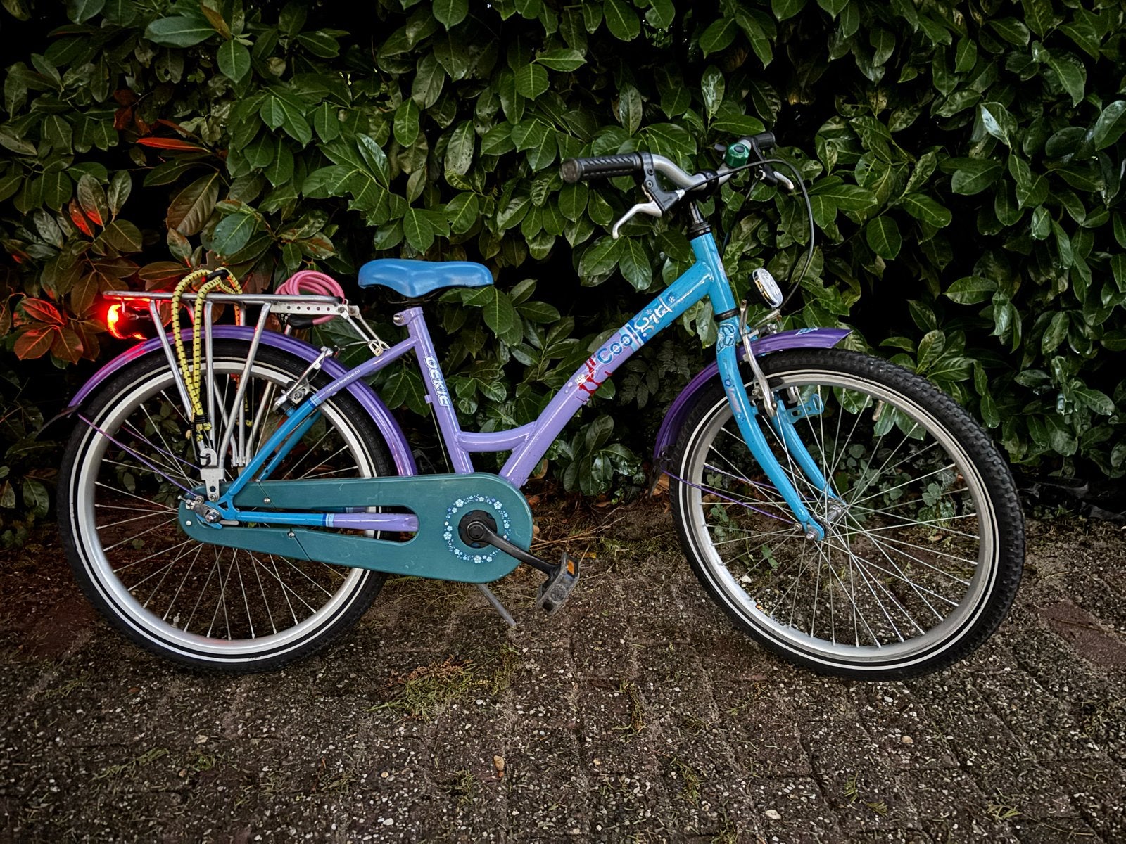 Cool Girl kinderfiets - 22 inch, Ophalen, 22 inch, Gebruikt, Velgrem