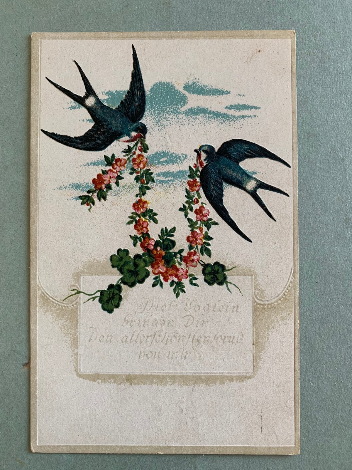 Zwaluwen, Ophalen of Verzenden, Voor 1920, Gelopen, Overige thema's