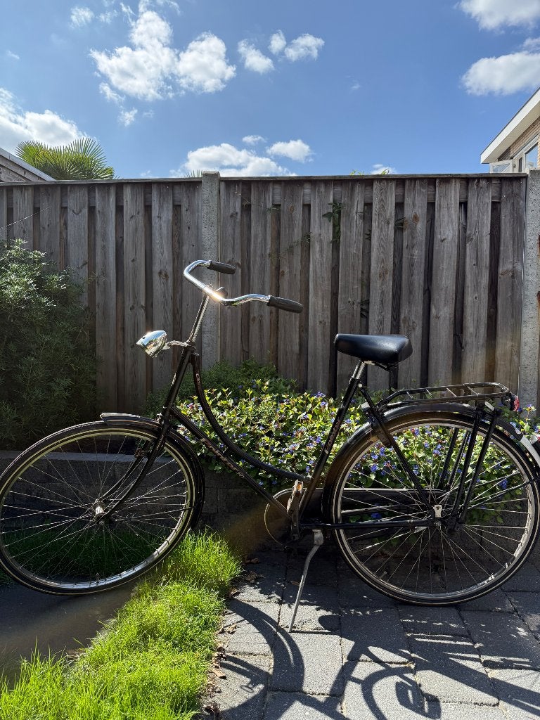 Fiets Pointer, Ophalen, Terugtraprem, Pointer