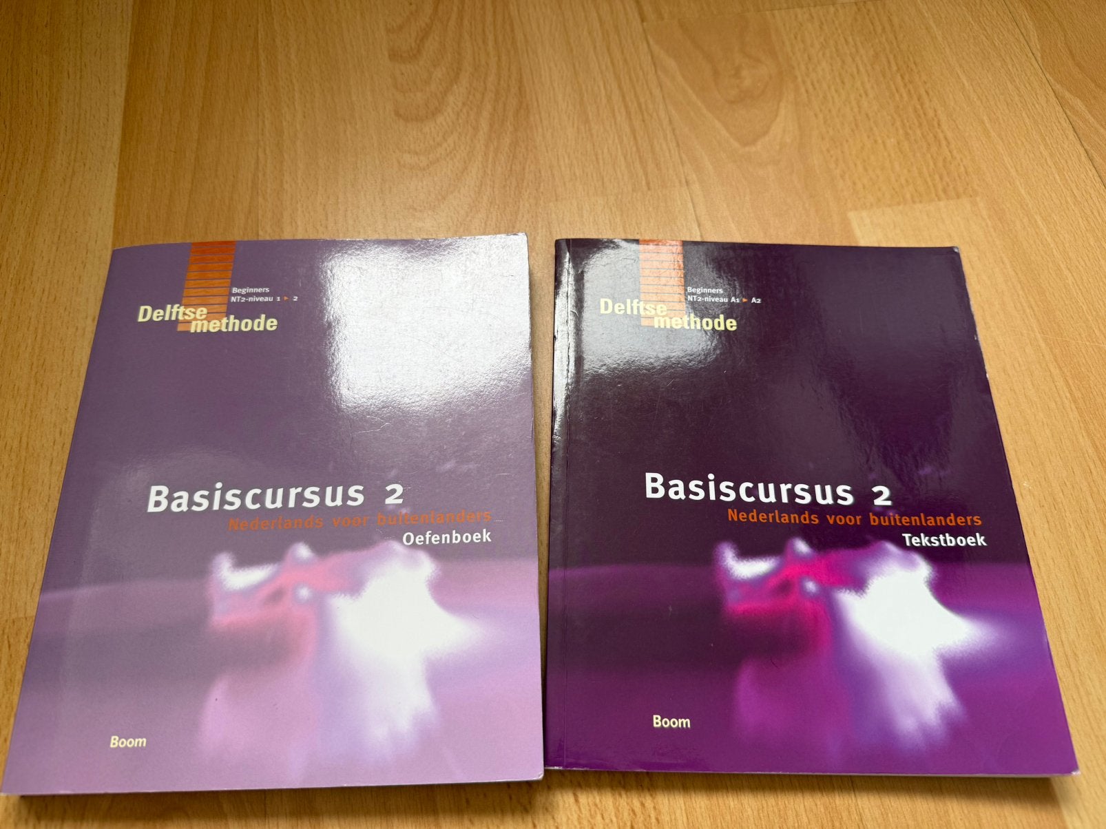 Delftse methode Basiscursus 2 Oefenboek en tekstboek, Ophalen of Verzenden, Zo goed als nieuw, B. Sciarone, Nederlands