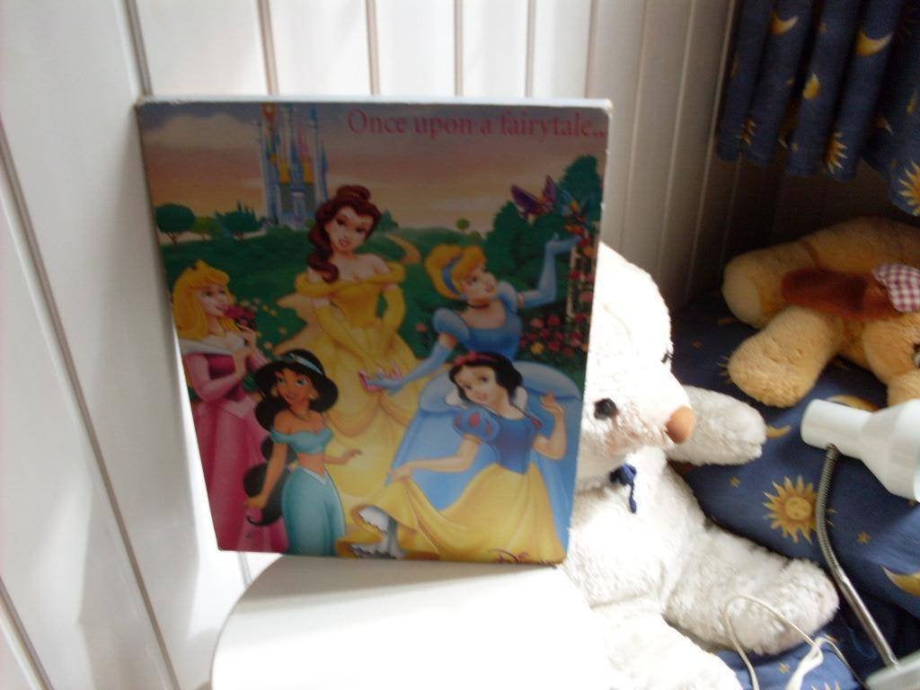 gezellige disney prinsessen 50x40cm wanddecoratie, Ophalen, Gebruikt, Overige kleuren, Wanddecoratie