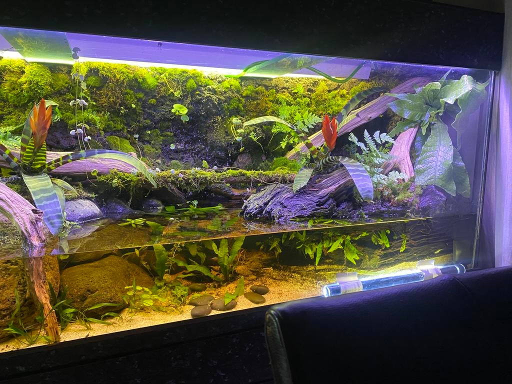 Paludarrium groot 200x50x50 cm, Dieren en Toebehoren, Ophalen of Verzenden, Zo goed als nieuw, Plant(en), Steen of Hout