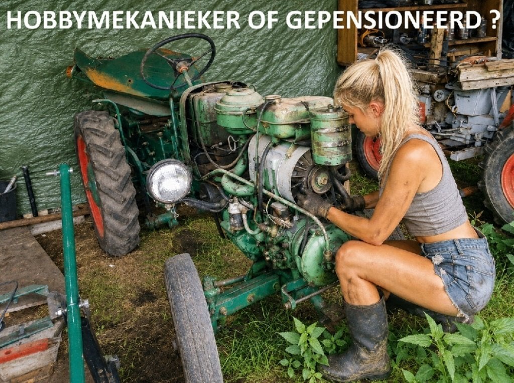IK ZOEK HOBBYMEKANIEKER VOOR VERZAMELING OLDTIMER TREKKERSR, Zakelijke goederen, Agrarisch | Tractoren, Gebruikt, Tot 2500, Tot 80 Pk