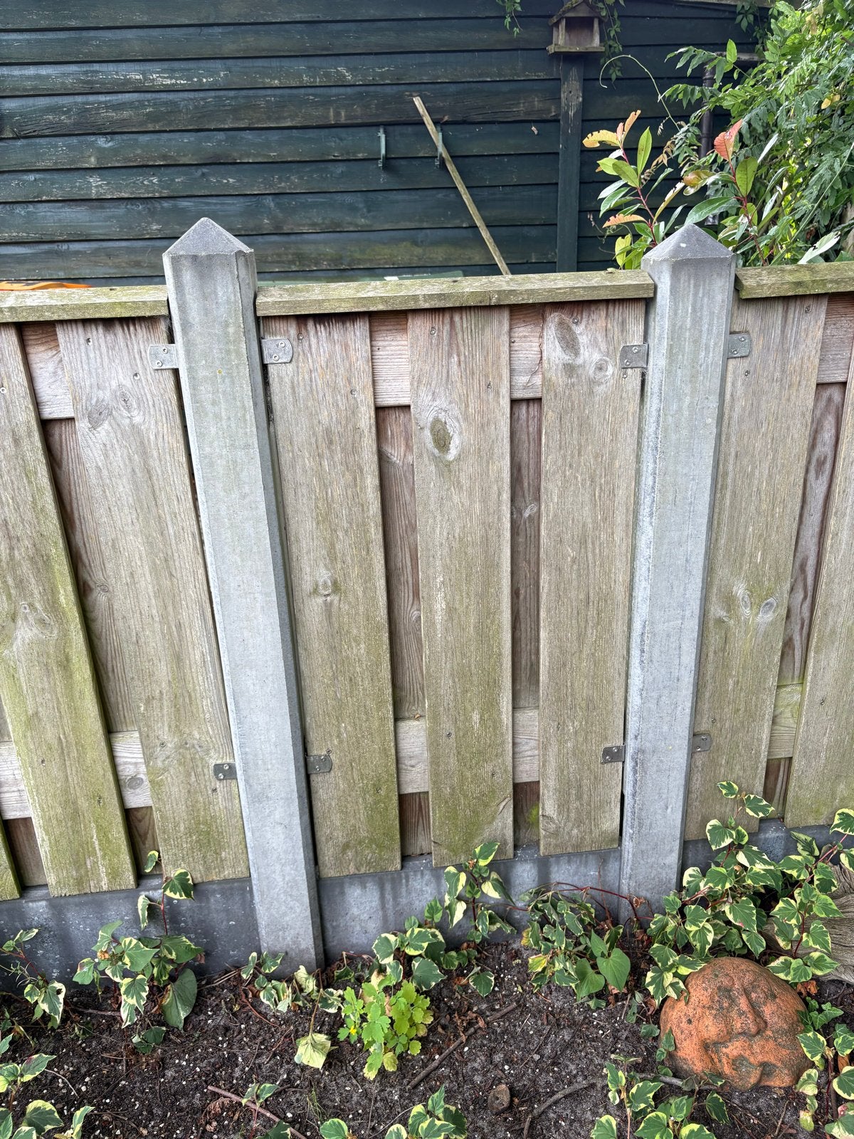 Houten schuttingpanelen met betonpalen, Ophalen, 3 tot 6 meter, Hout, 1 tot 2 meter
