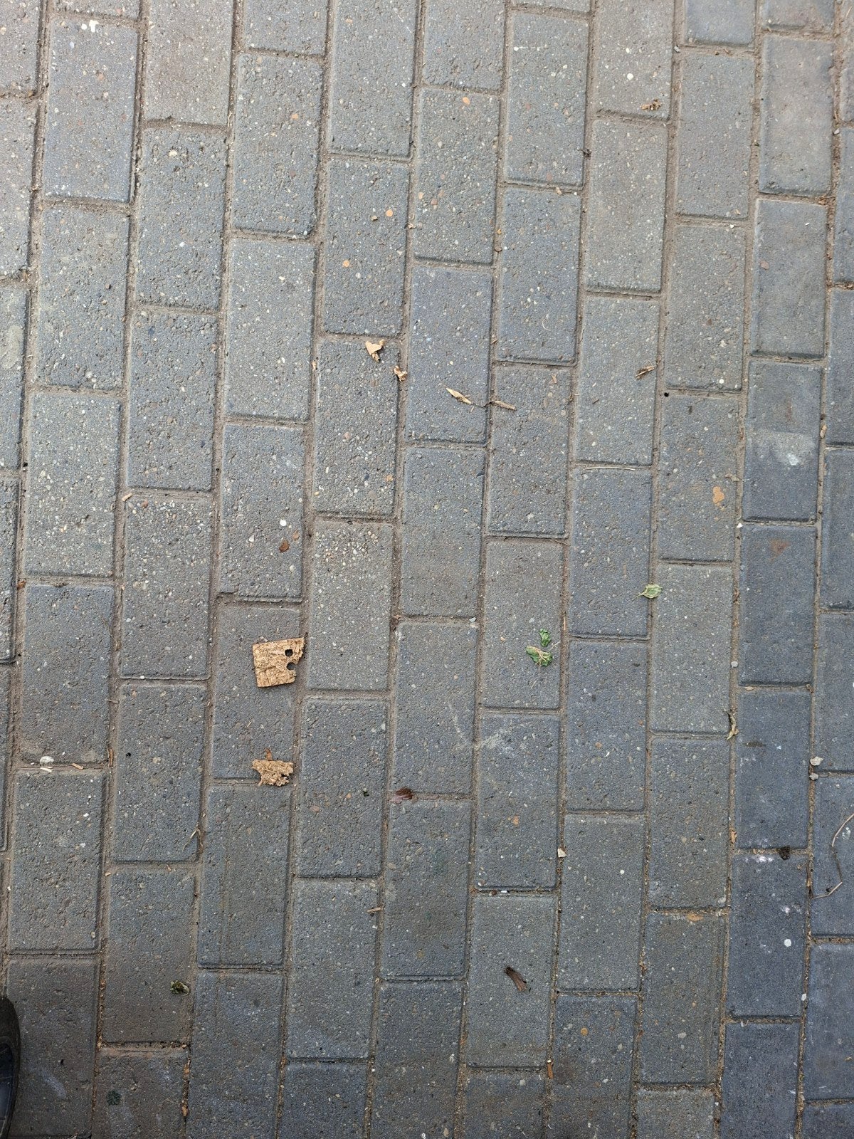 Gebruikte klinkers dikformaat 20x10 cm, Ophalen, Gebruikt, Klinkers, 10 m² of meer