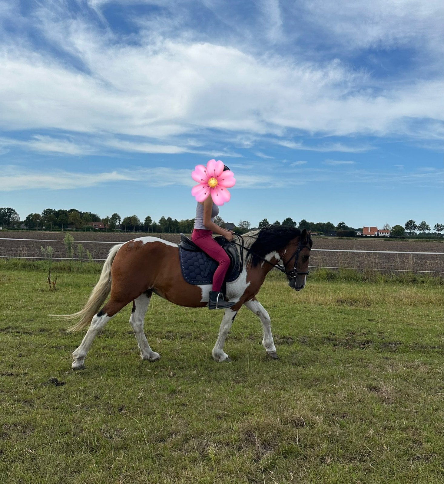 Super lieve Bomproof kinderpony!!! 😍💣, Minder dan 160 cm, B, 11 jaar of ouder, Recreatiepaard