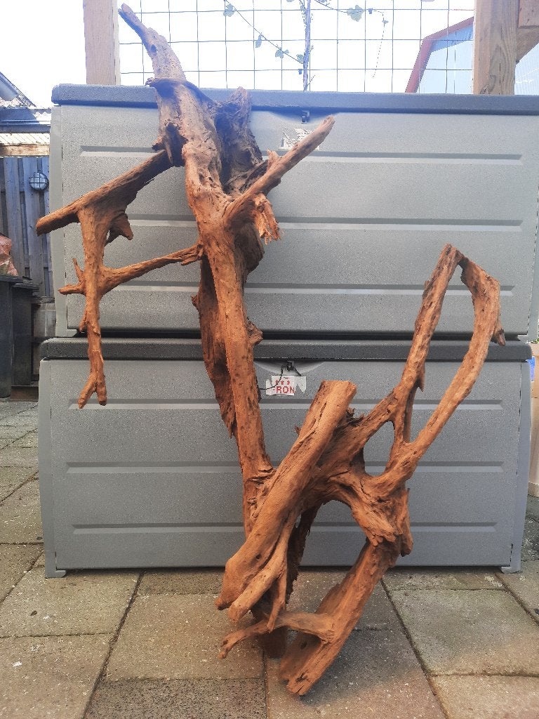 Mangrovehout Drijfhout Osaka voor terrarium of paludarium, Dieren en Toebehoren, Ophalen, Nieuw, Tak, Plant, Rots of Steen