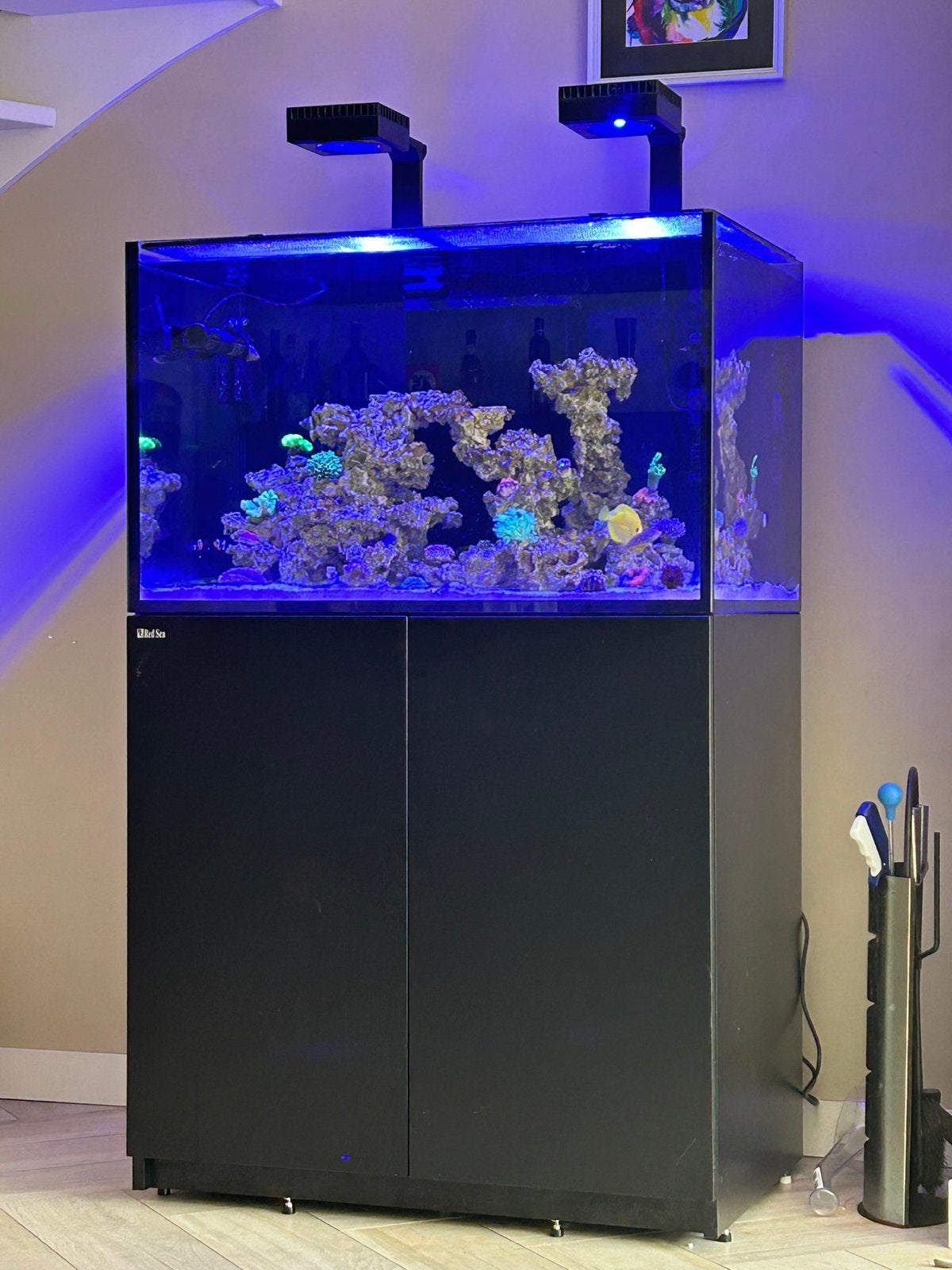 Red Sea 300 G2 aquarium en onderkast, Ophalen, Zo goed als nieuw, Leeg aquarium