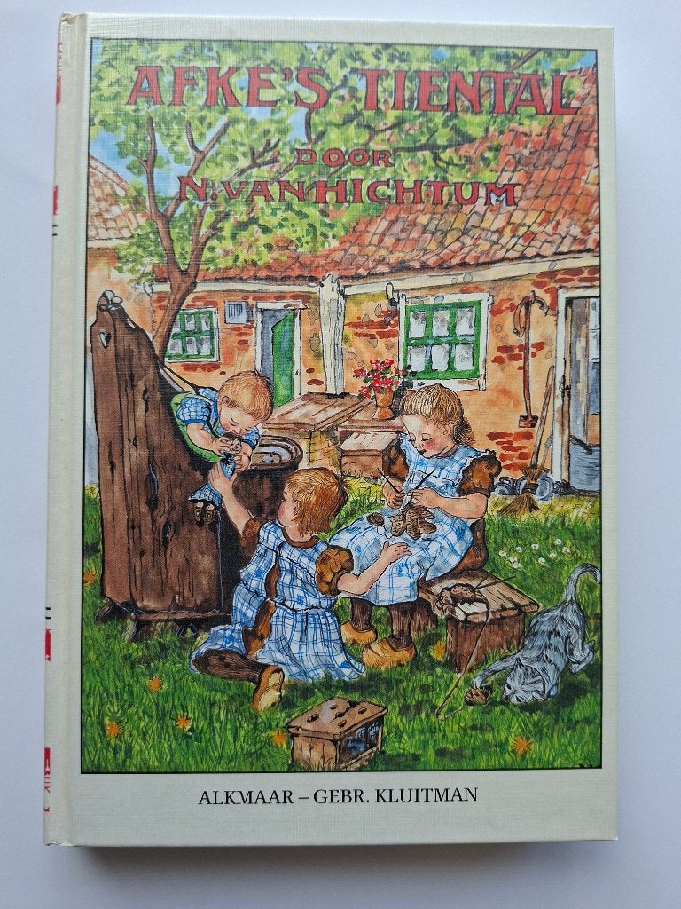 N. van Hichtum  Afke's Tiental, Ophalen of Verzenden, Zo goed als nieuw, Nienke van Hichtum, Fictie algemeen
