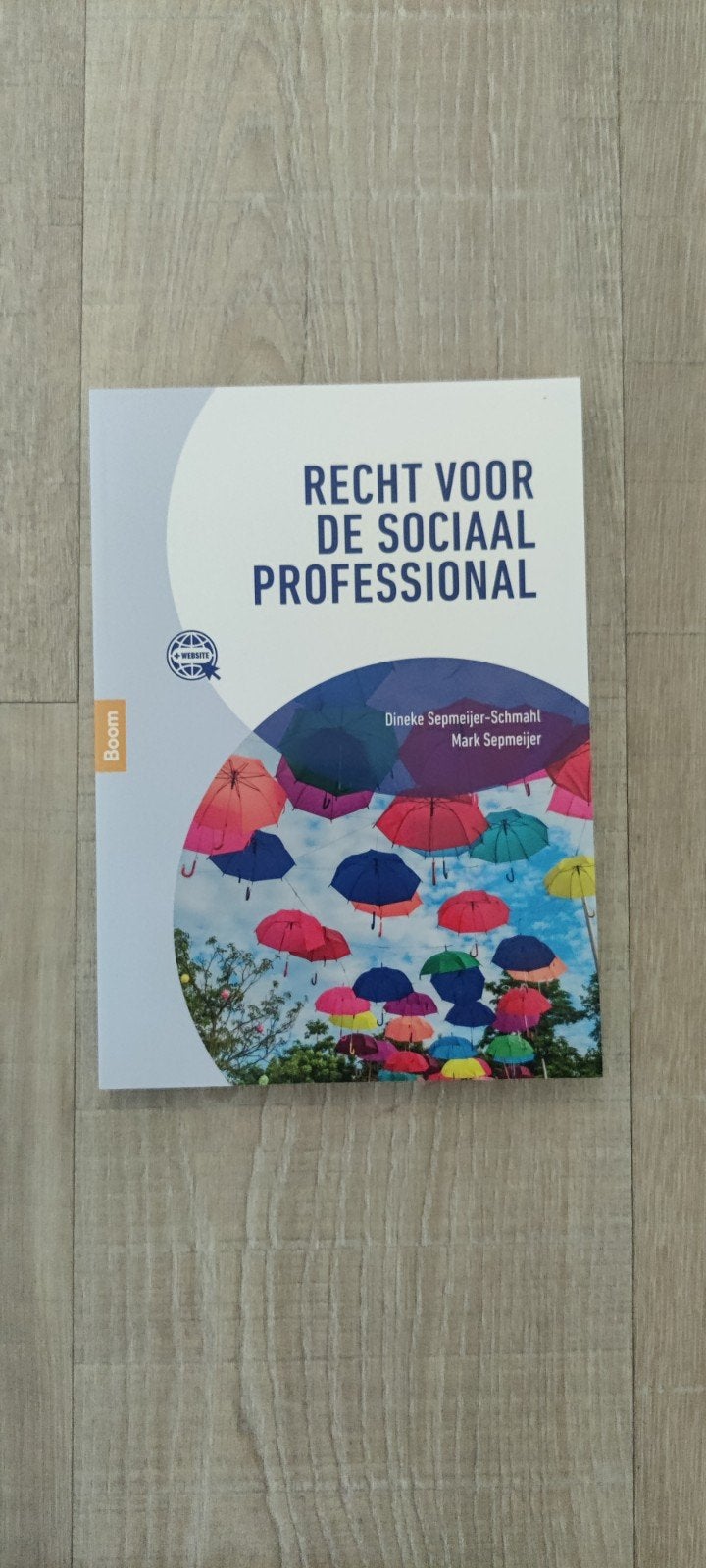 Recht voor de sociaal professional, Boeken, Sociale wetenschap, Ophalen of Verzenden, Zo goed als nieuw, Dineke Sepmeijer-Schmahl; Mark Sepmeijer