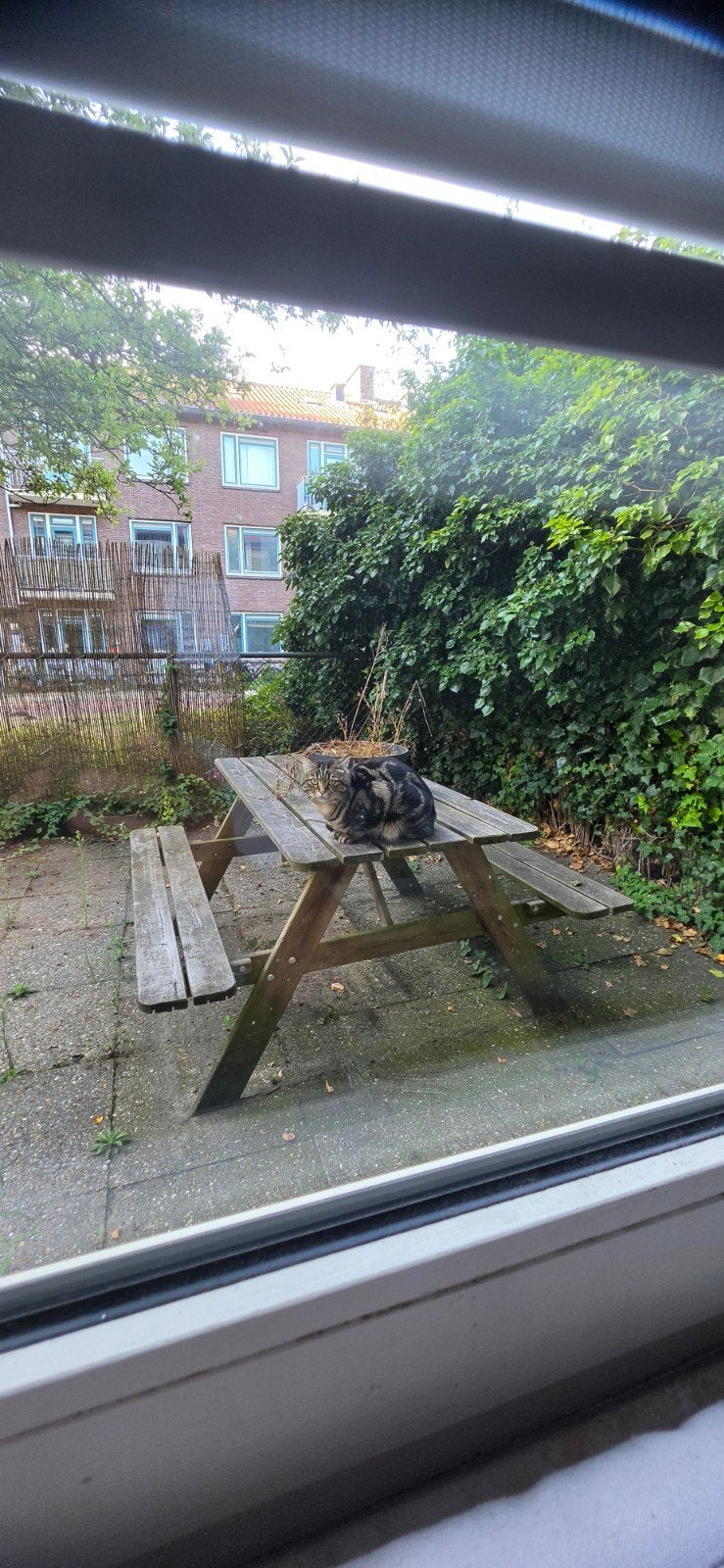 Mooie picknicktafel (150cm), Ophalen, Zo goed als nieuw, Rechthoekig, Hout