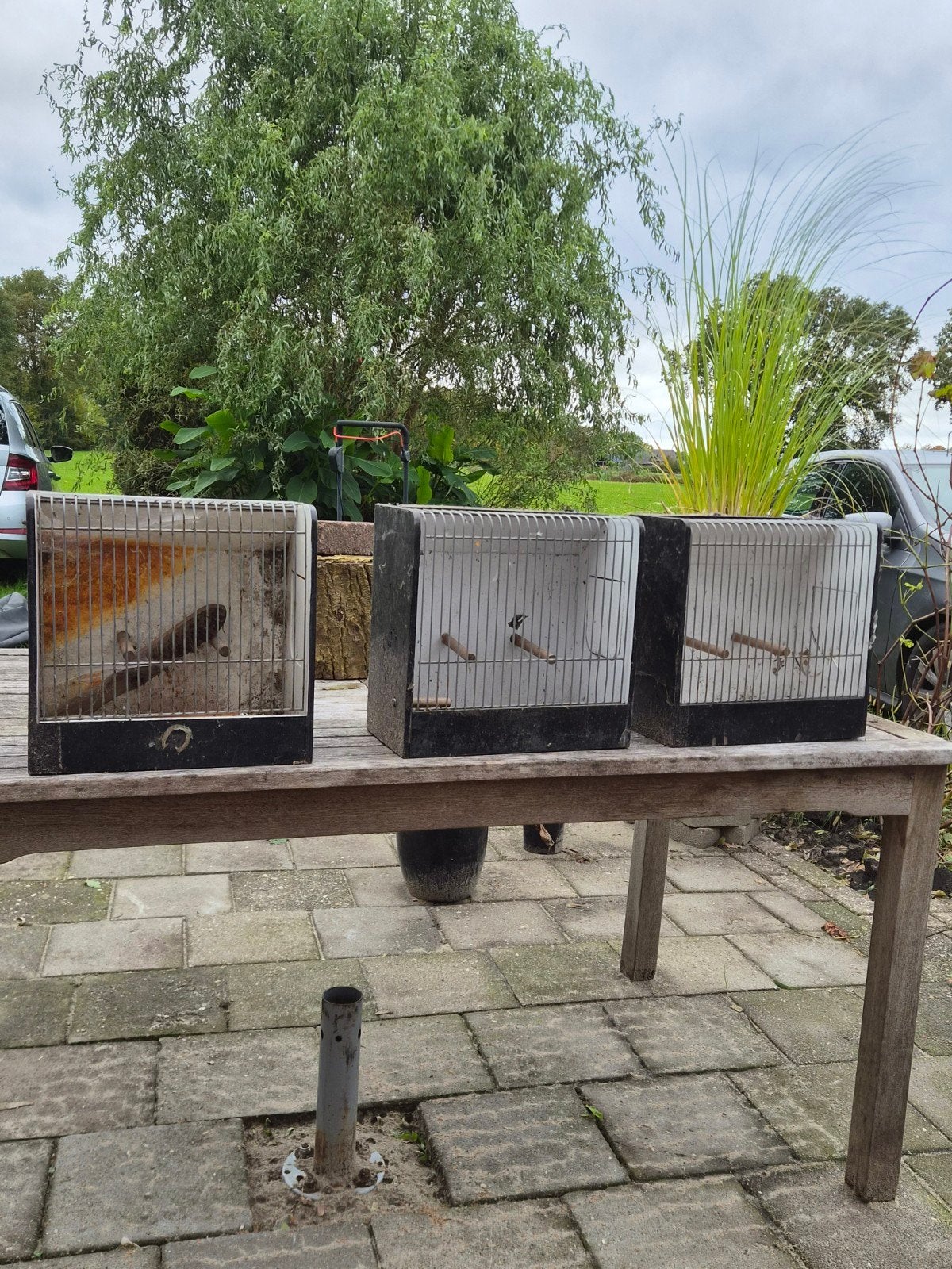 tentoonstelling kooien voor kleine vogels 3 stuks, Ophalen, Gebruikt, Volière