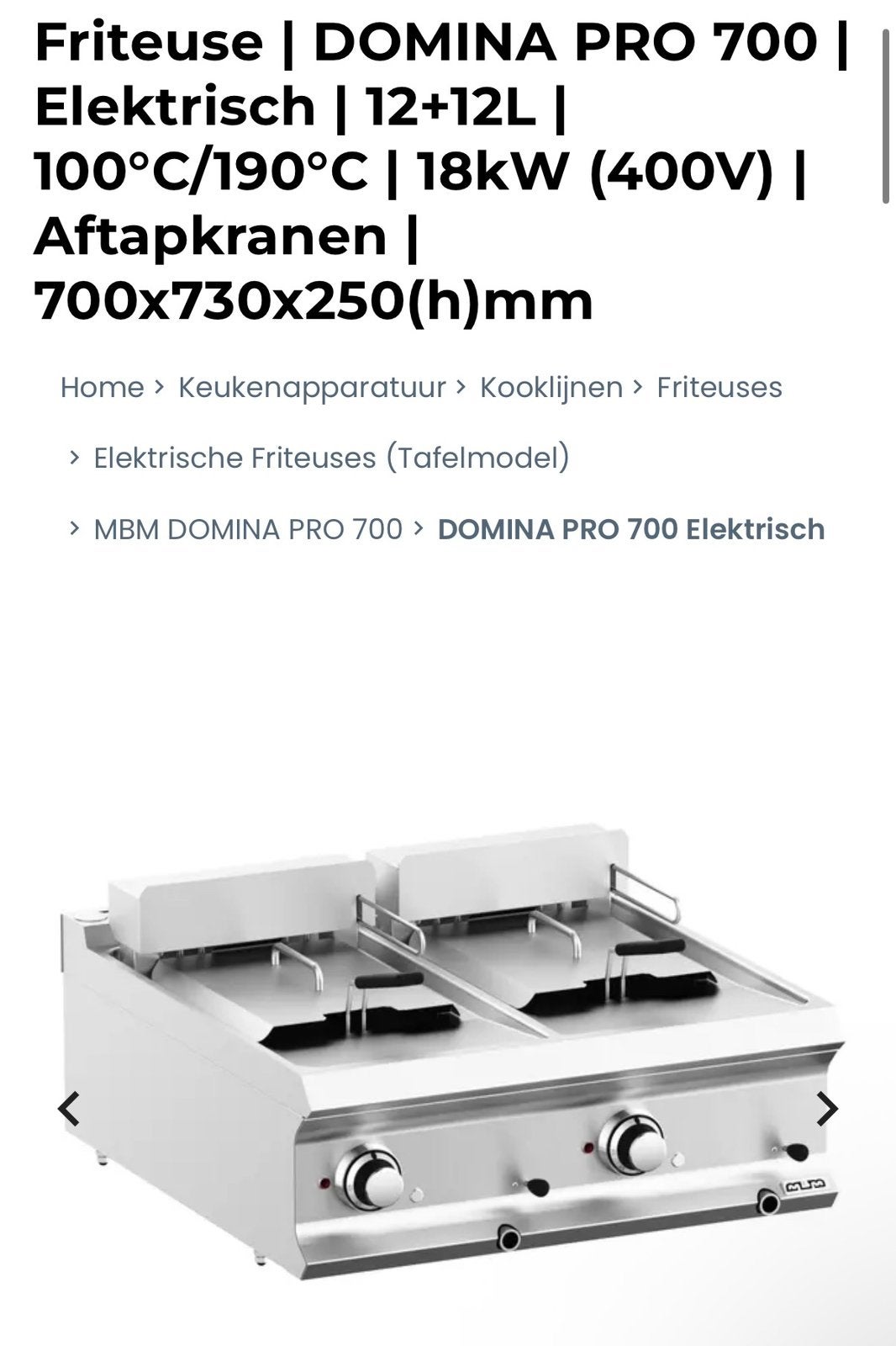 Friteuse (nieuw), Ophalen, Fornuis, Frituur en Grillen