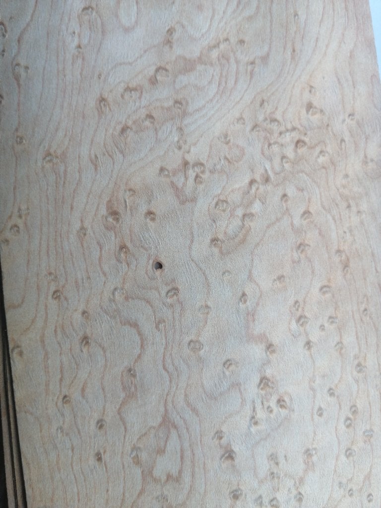 fineer esdoorn, Minder dan 25 mm, Nieuw, Ophalen of Verzenden, Balk
