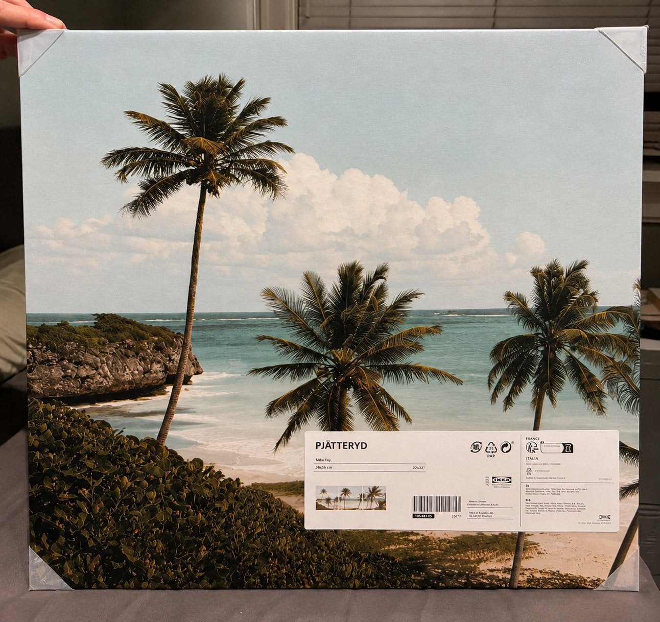IKEA PJÄTTERYD Set van 3 canvas prints, 56x56cm, nieuw, Ophalen, 50 – 75, Nieuw, Print