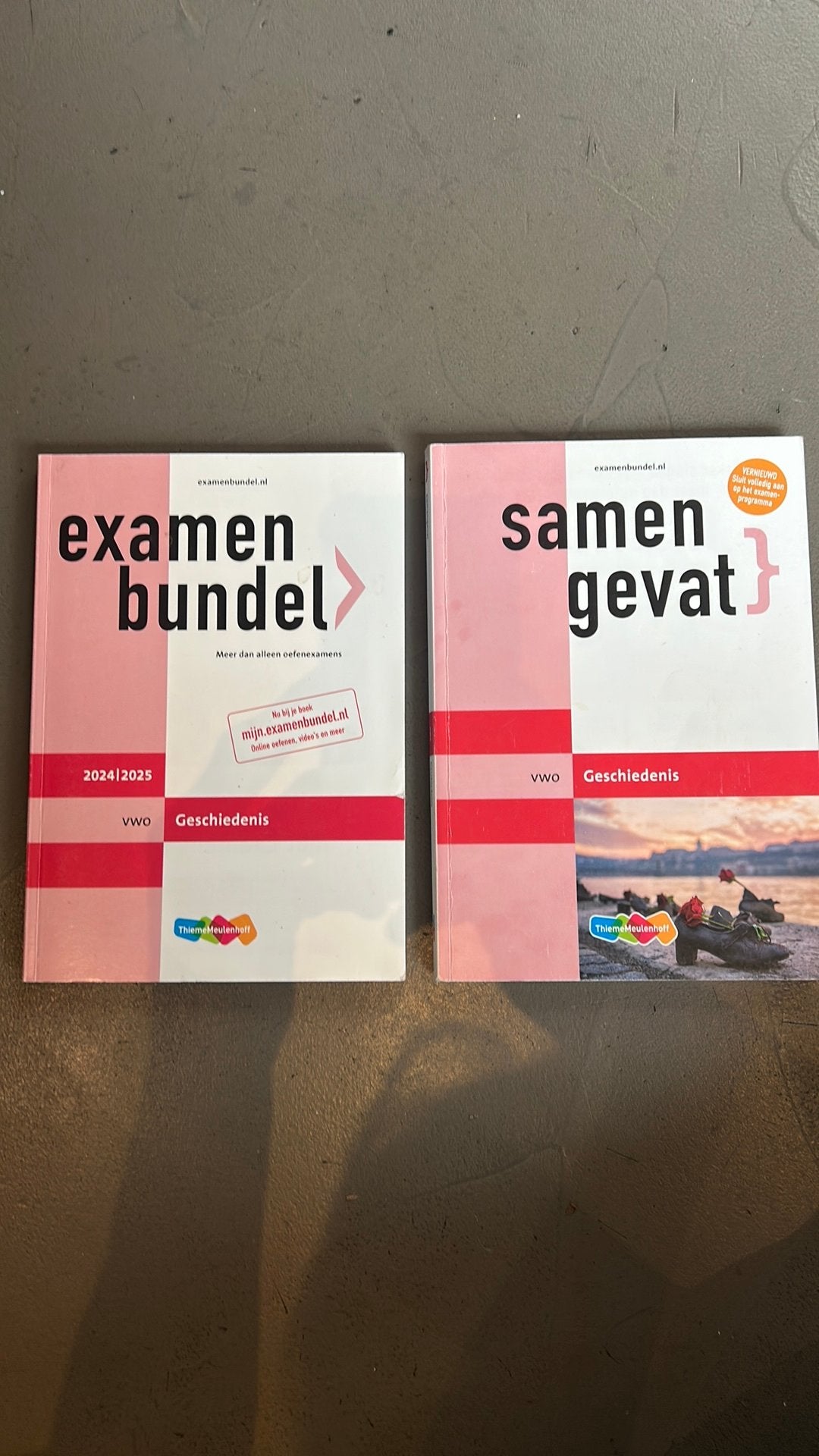 Examenbundel en Samengevat Geschiedenis VWO, Boeken, Schoolboeken, Ophalen of Verzenden, Zo goed als nieuw, VWO, Economie
