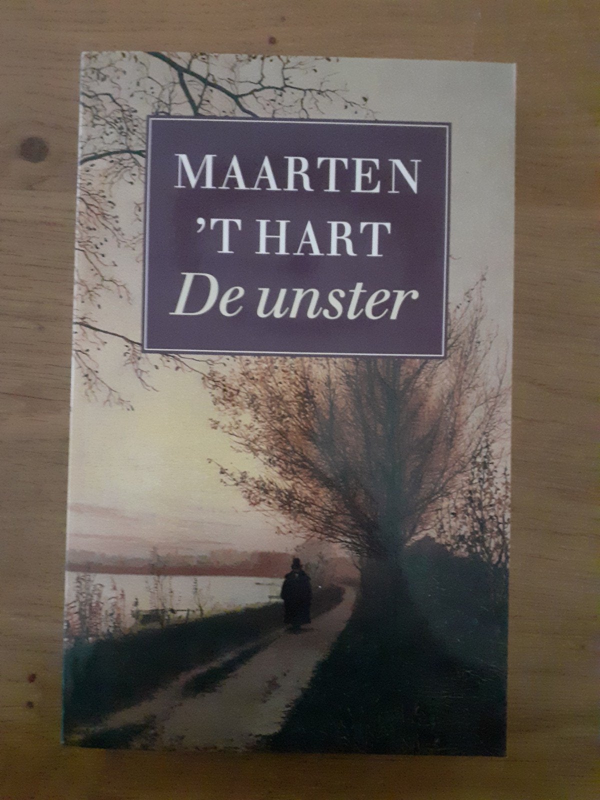 De Unster Boek van Maarten ‘t Hart, Ophalen of Verzenden, Gelezen