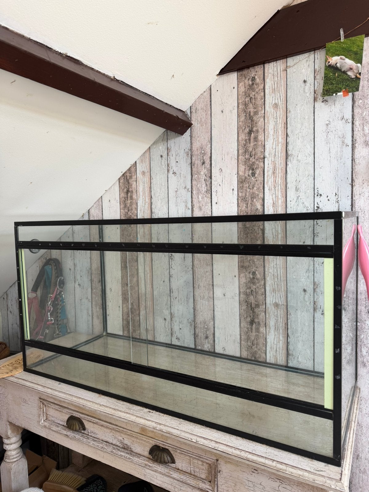 Terrarium 100x40x50, Ophalen, Gebruikt