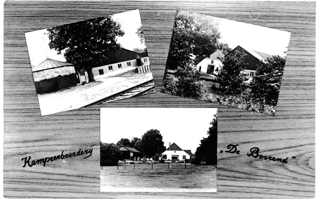 968137	Beekbergen	Gld	1978 Kampeerboerderij	De Bosrand, Ophalen of Verzenden, 1960 tot 1980, Gelopen, Gelderland