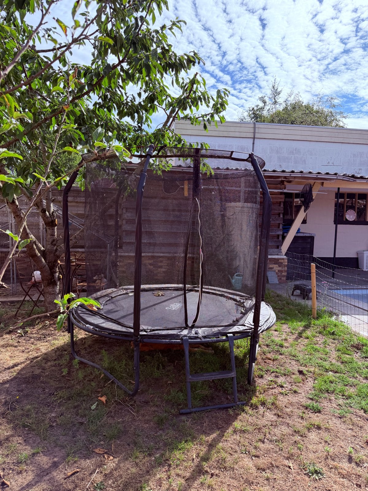 Gratis trampoline met veiligheidsnet, Ophalen, Gebruikt