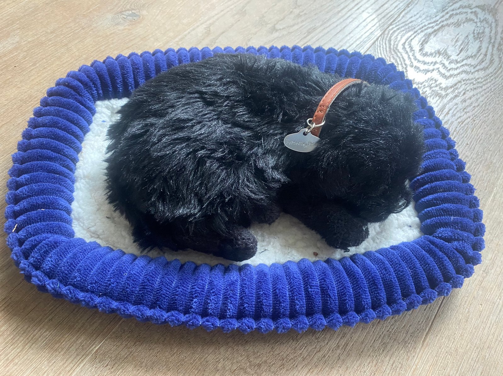 Perfect petzzz Soft labrador zwart, Overige merken, Zwart, Zo goed als nieuw, Middelgroot (20 tot 80 cm)