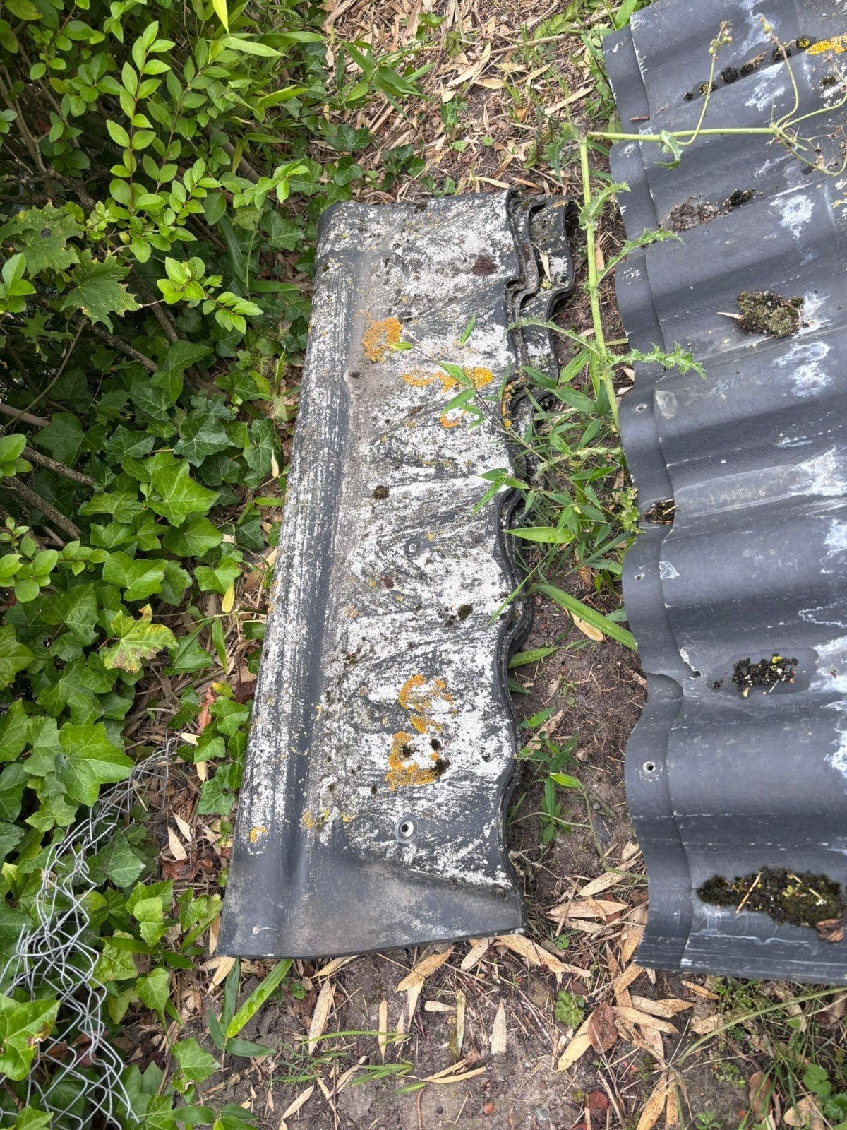 Asbestvrije cementgebonden dakplaten en nokstukken, Gebruikt, 15 m² of meer, Metaal, Ophalen