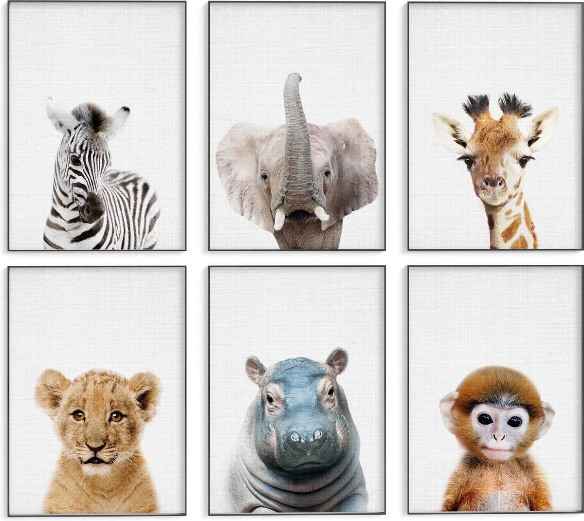 Safari Posters met Dieren - 6 Posters - 21 x 30cm, Huis en Inrichting, Minder dan 50 cm, Nieuw, Ophalen of Verzenden, Print