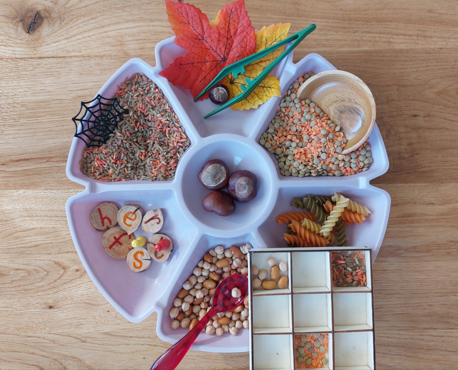 sensorische sorteerbak thema herfst, Kinderen en Baby's, Ophalen of Verzenden
