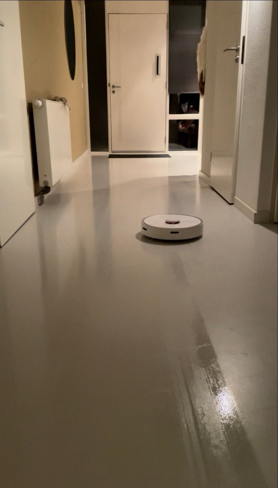 Roborock s6 Robotstofzuiger met Dweilfunctie en Accessoires, Witgoed en Apparatuur, Overige merken, Gebruikt, Ophalen of Verzenden