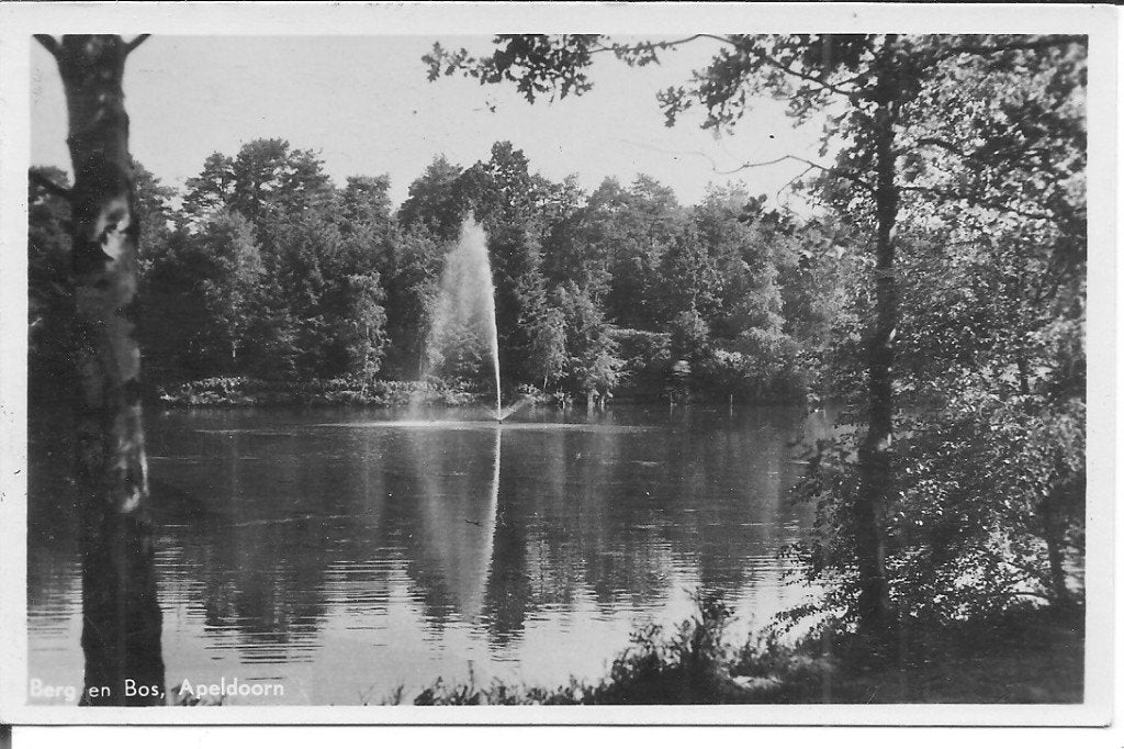 Zwart-wit ansichtkaart Berg en Bos, Apeldoorn (1950), Ophalen of Verzenden, 1940 tot 1960, Gelopen, Gelderland