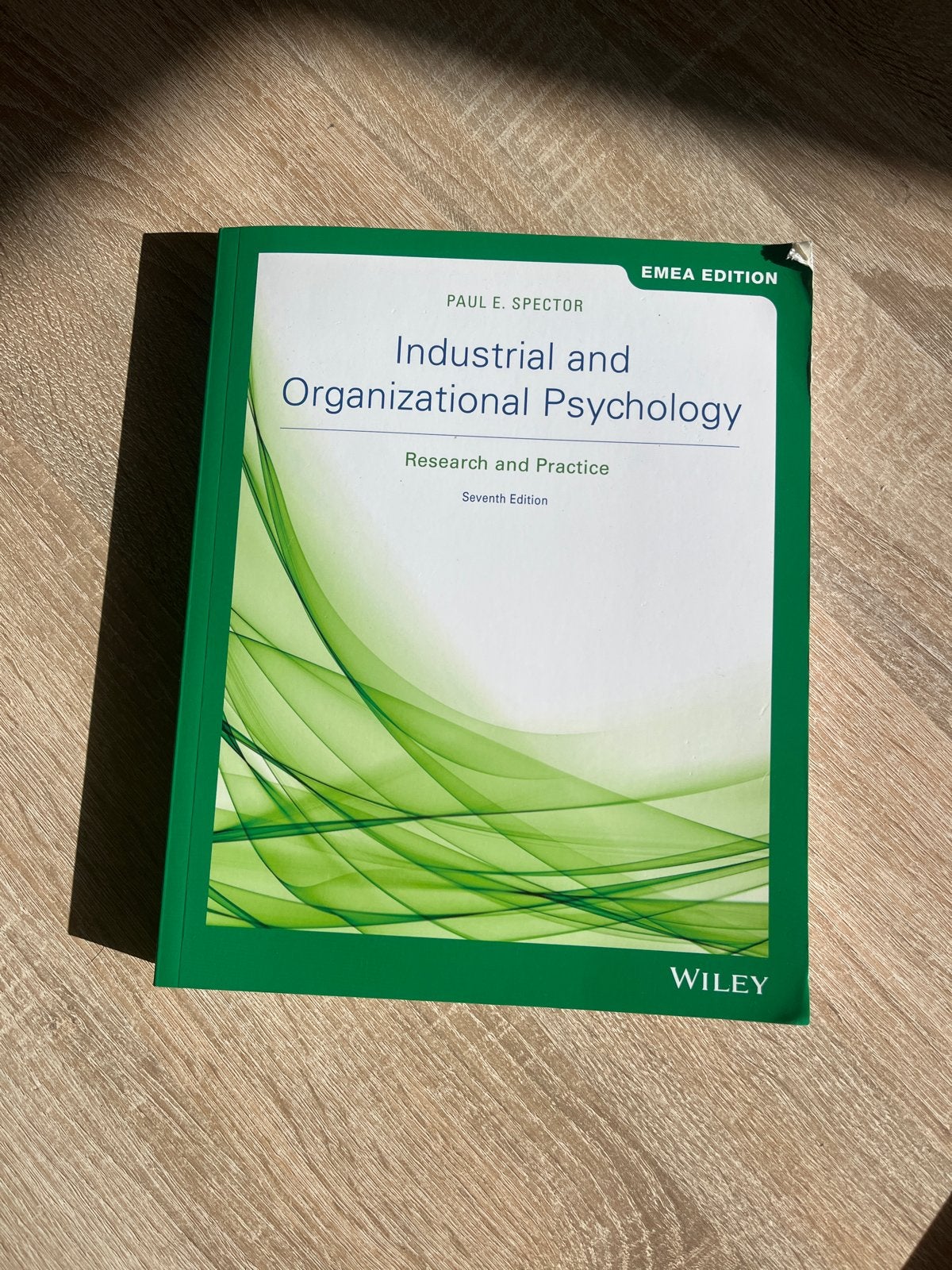 Industrial and Organizational Psychology - Paul E. Spector, Boeken, Studieboeken en Cursussen, Ophalen of Verzenden, Gamma, Zo goed als nieuw
