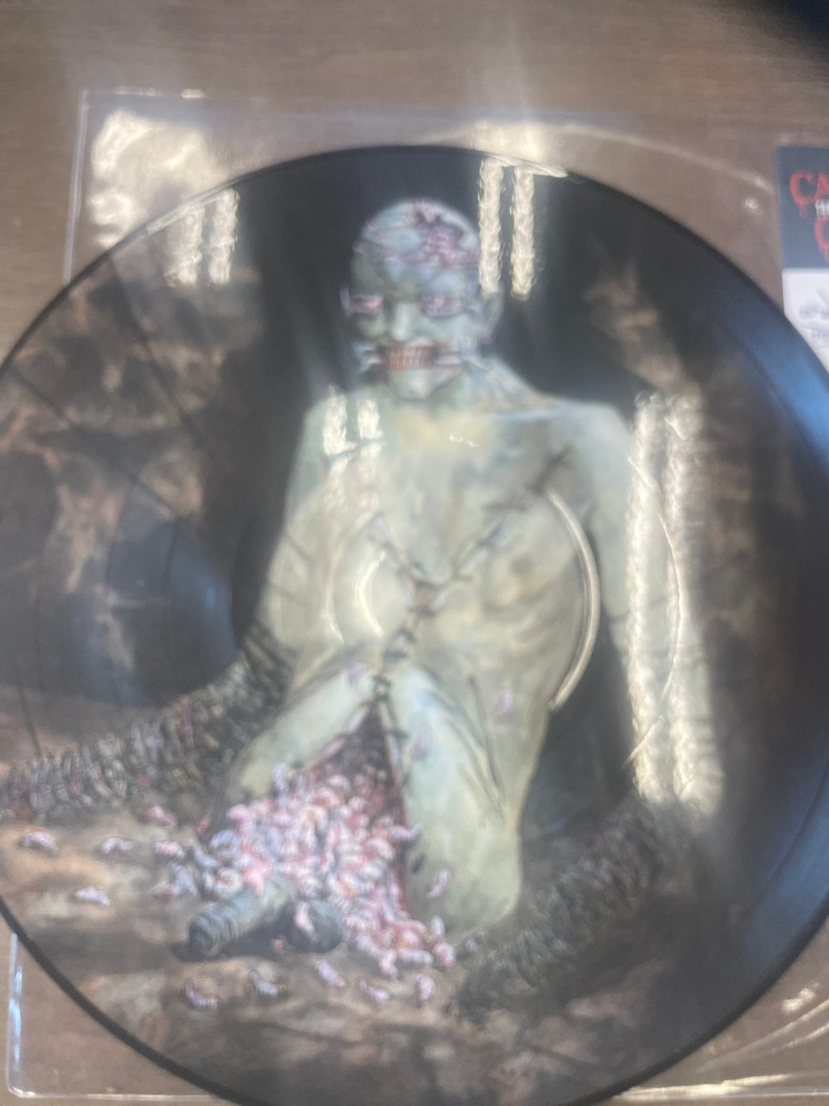 Cannibal corpse - vile pdisc, Ophalen of Verzenden, Zo goed als nieuw