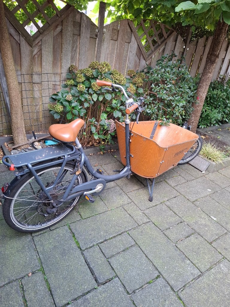 Bakfiets, Gebruikt, Huif, 2 kinderen, Schijfrem