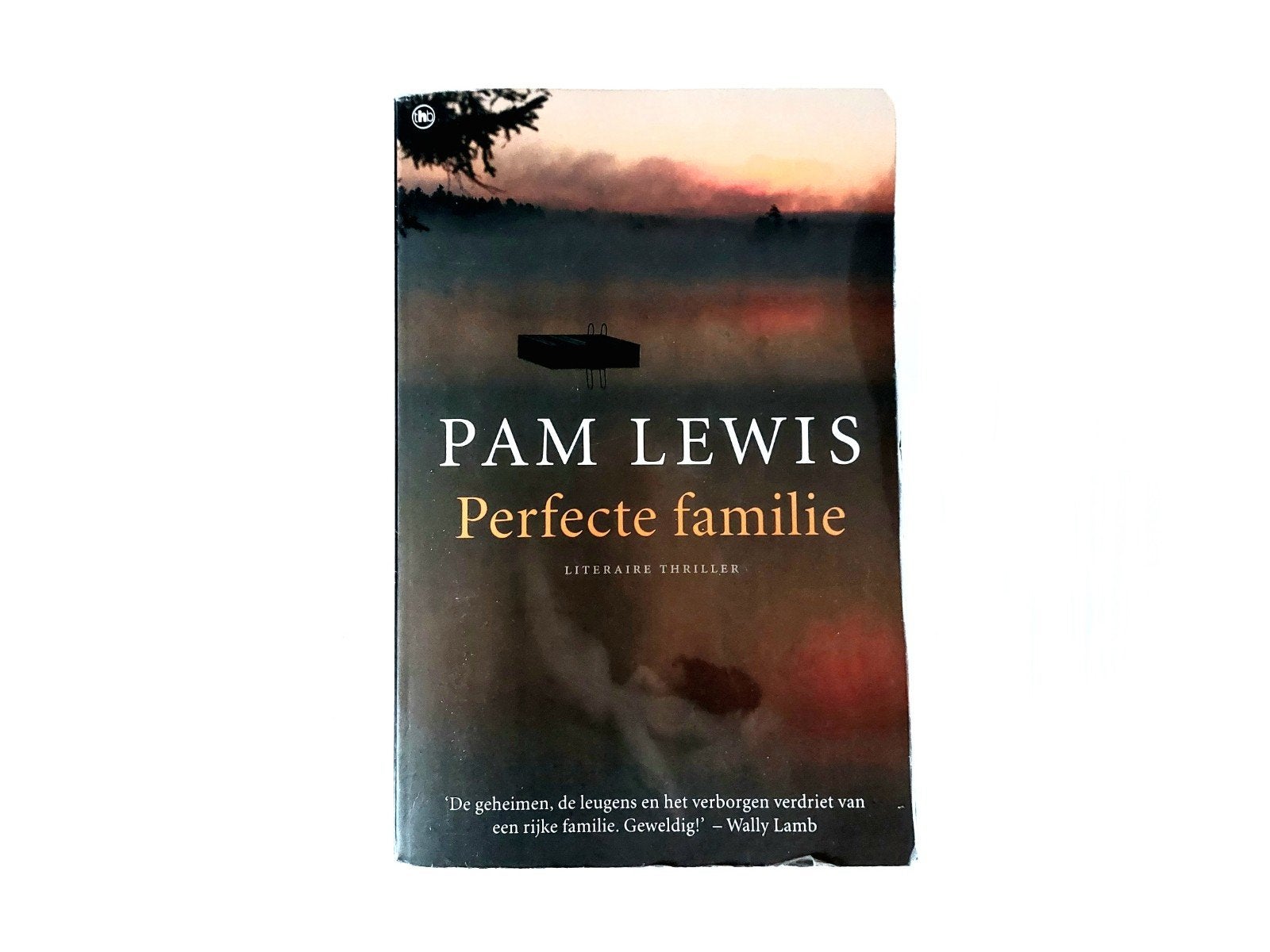 Pam Lewis - Perfecte Familie, Ophalen of Verzenden, Gelezen, Pam Lewis