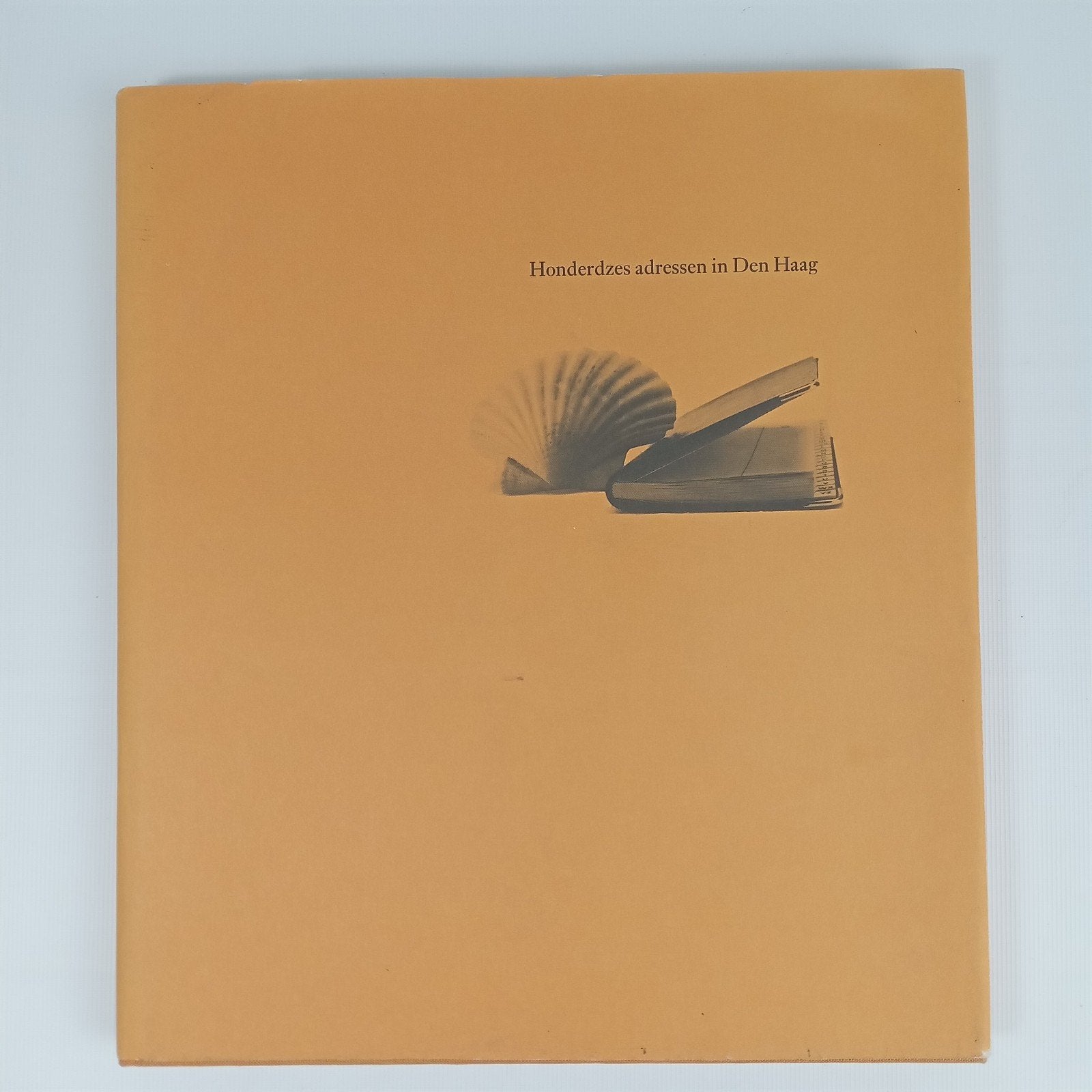 Honderdzes adressen in Den Haag - Max van Rooy (1986), Max van Rooy, Ophalen of Verzenden, 20e eeuw of later, Gelezen