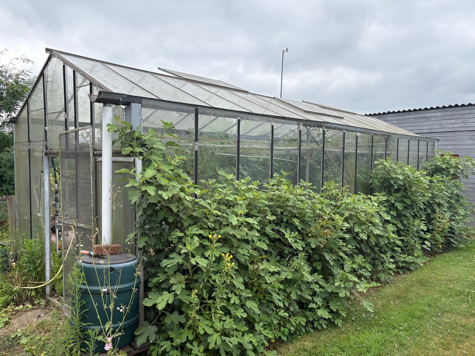 Grote hobby kas 3x9m met ramen en beregening, Tuin en Terras, Kassen, Gebruikt, Kweekkas, Glas, Ophalen