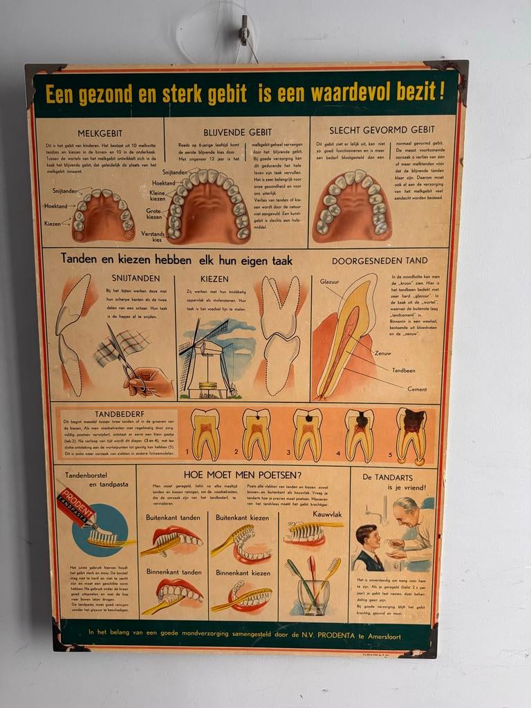 Vintage Prodenta poster: Mondverzorging & Gebitsopbouw, Ophalen, Gebruikt, A1 t/m A3, Film en Tv