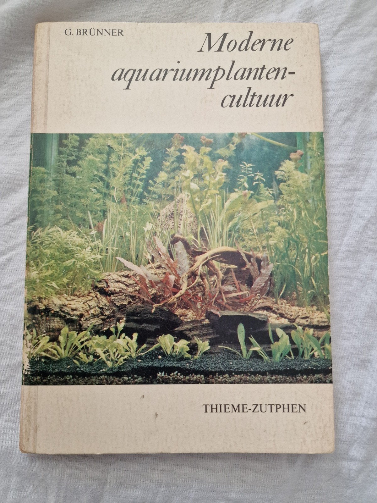 moderne  aquariumplanten culltuur, Ophalen of Verzenden