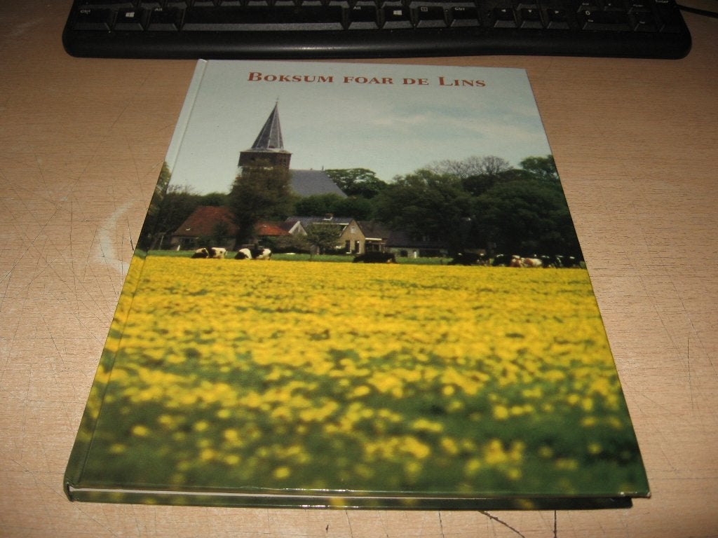 Boksum foar de lins, Ophalen of Verzenden, Zo goed als nieuw