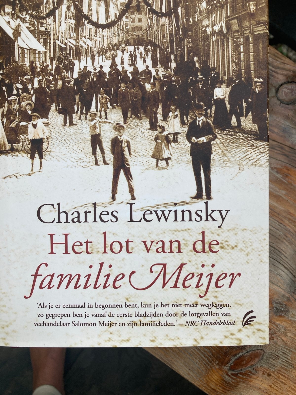 Boeken: Het lot van de familie Meijer & Triptiek/Versplinter, Ophalen, Gelezen, Europa overig