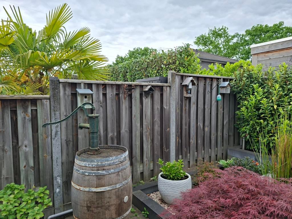 GRATIS complete schutting, Tuin en Terras, 6 meter of meer, Ophalen of Verzenden, Hout, 1 tot 2 meter