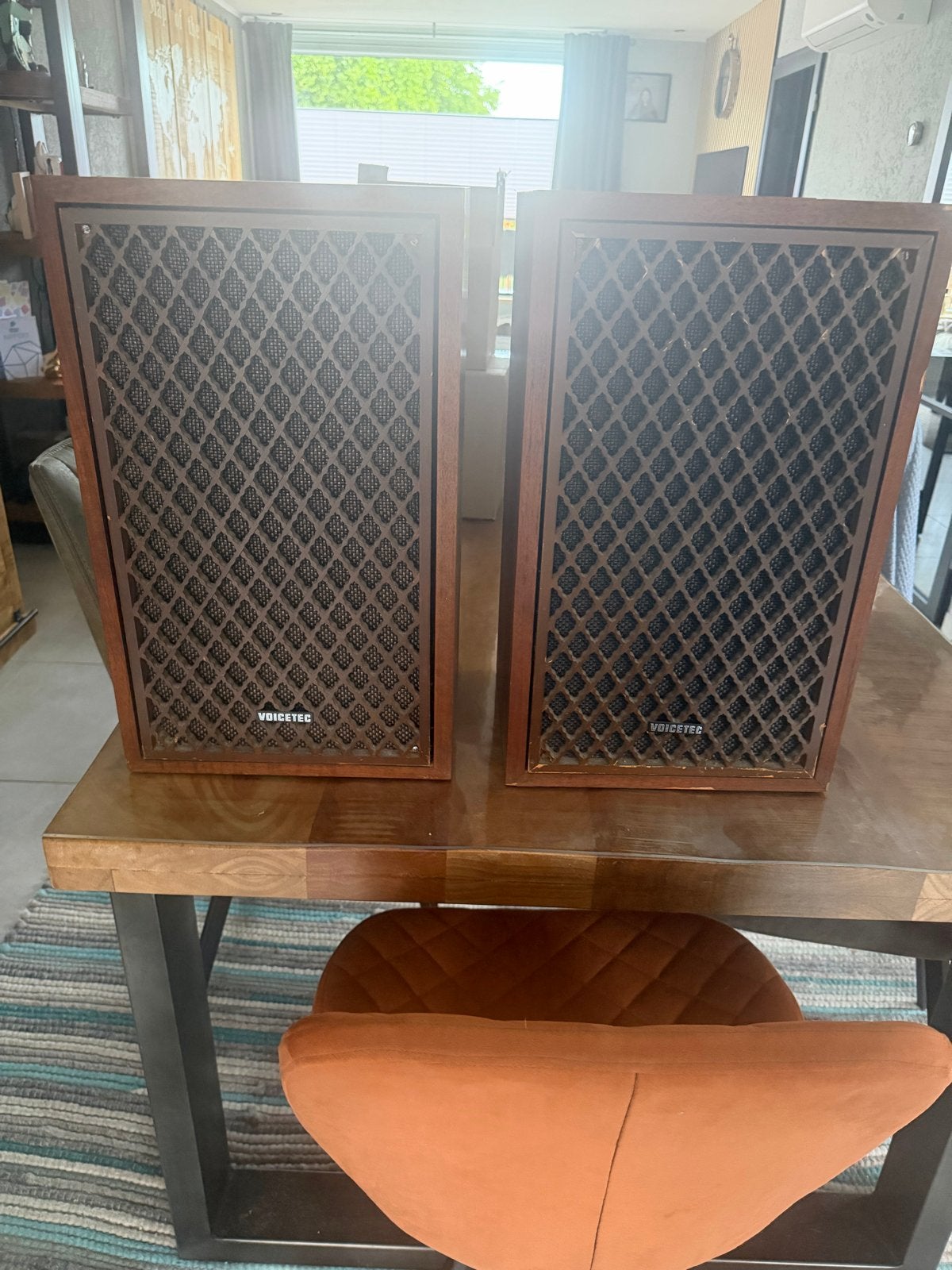 Voicetec 200DX Vintage Boekenplank Speakers