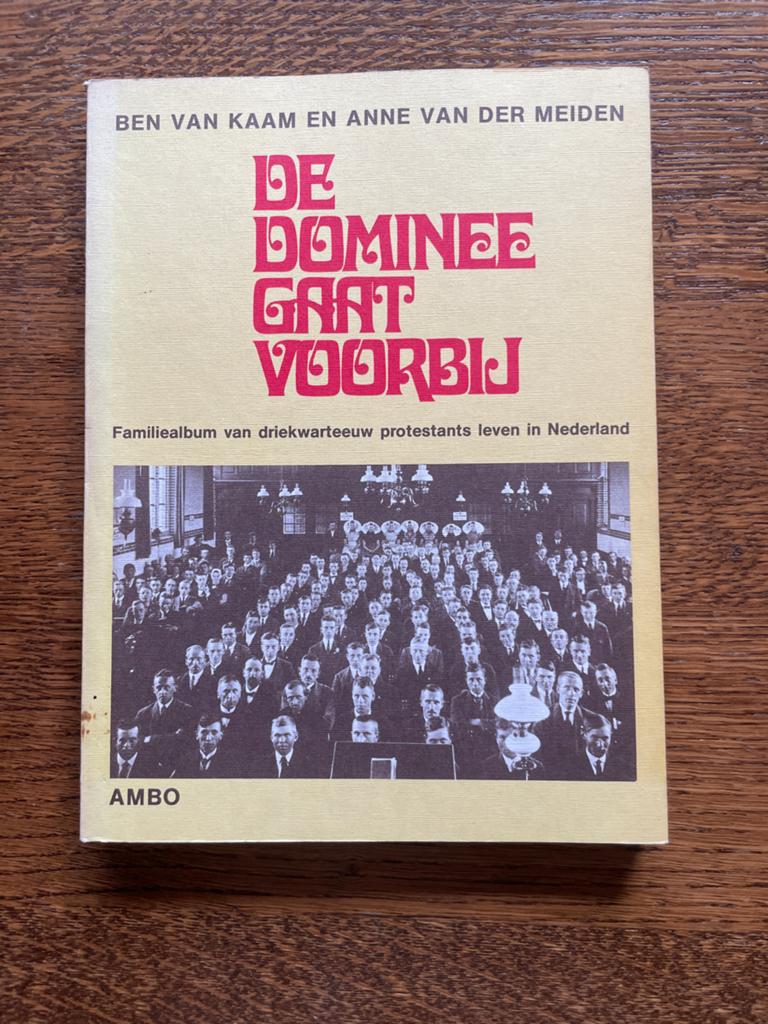 De Dominee Gaat Voorbij - Protestants Leven in Nederland, Boeken, Ophalen of Verzenden, Gelezen, Christendom | Protestants