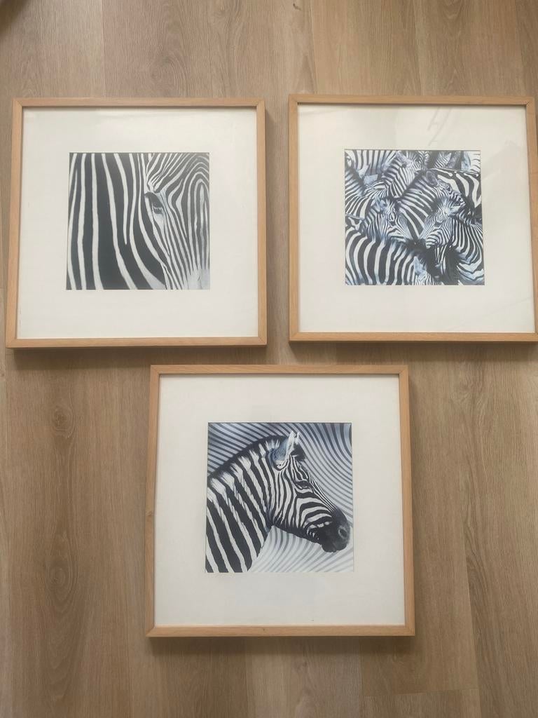 Set van 3 IKEA RIBBA fotolijsten met zebra prints, Ophalen of Verzenden, Zo goed als nieuw, Hout, 50 tot 75 cm