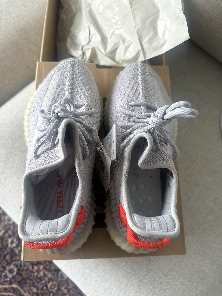 adidas Yeezy Boost 350 V2 Tail Light maat 38, Kleding | Heren, Overige kleuren, Nieuw, Ophalen of Verzenden, Sneakers of Gympen