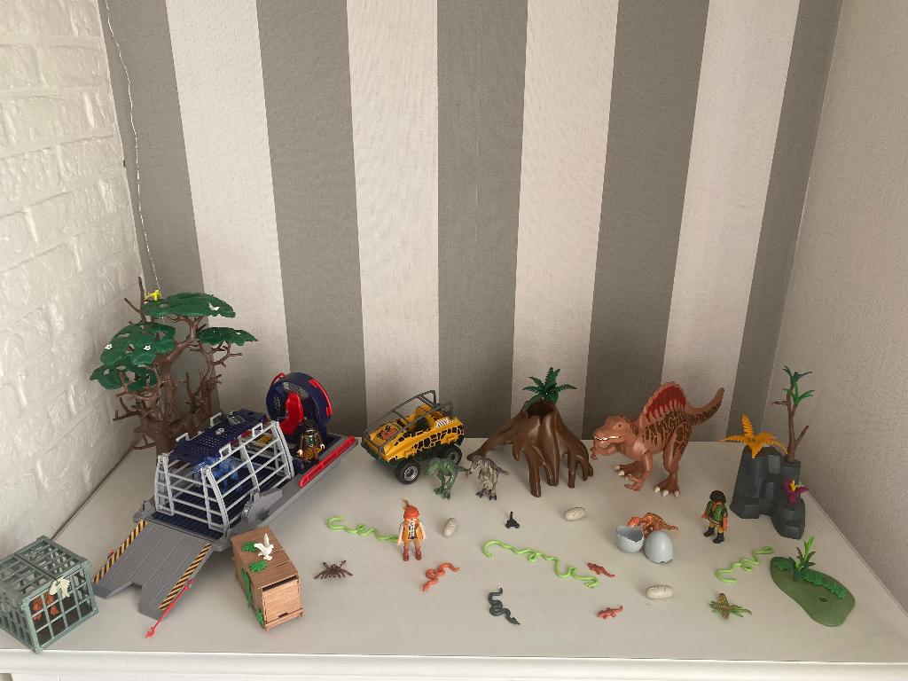 Playmobil dino, Ophalen, Zo goed als nieuw, Complete set