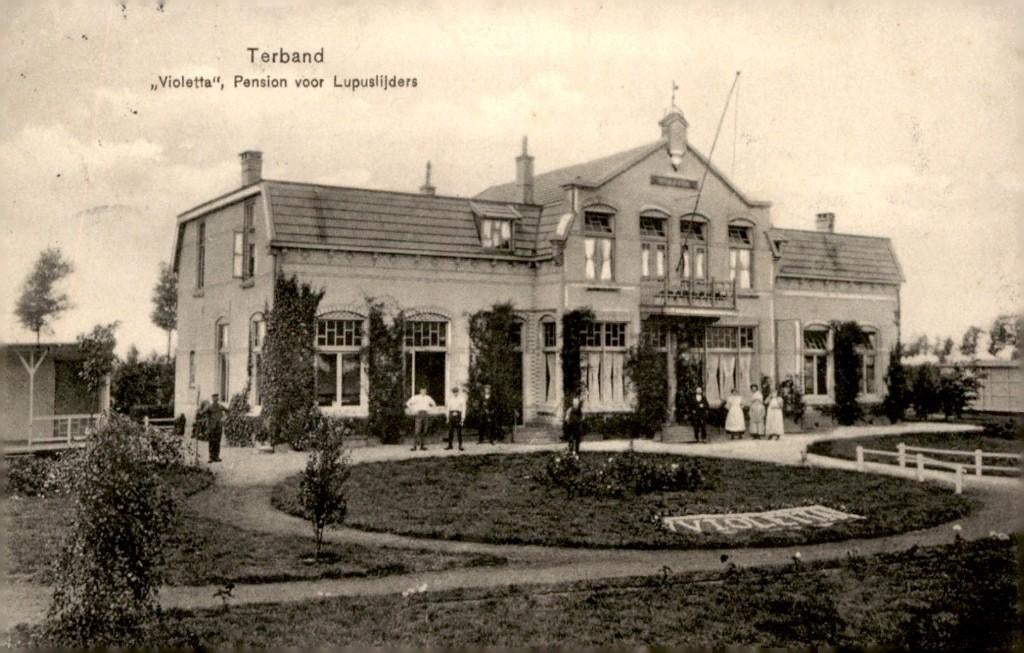 Terband Violette, Pension voor Lupuslijders # 156, Verzamelen, Verzenden, Voor 1920, Gelopen, Friesland