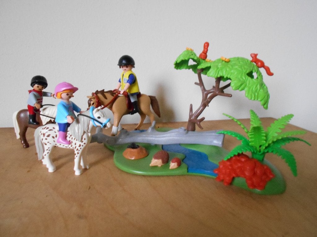Playmobil 6947 ponyrijles, Kinderen en Baby's, Gebruikt, Complete set, Ophalen of Verzenden, Country